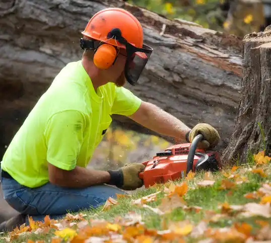 tree services Claryville